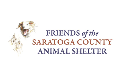 friends of saratoga county animal shelter